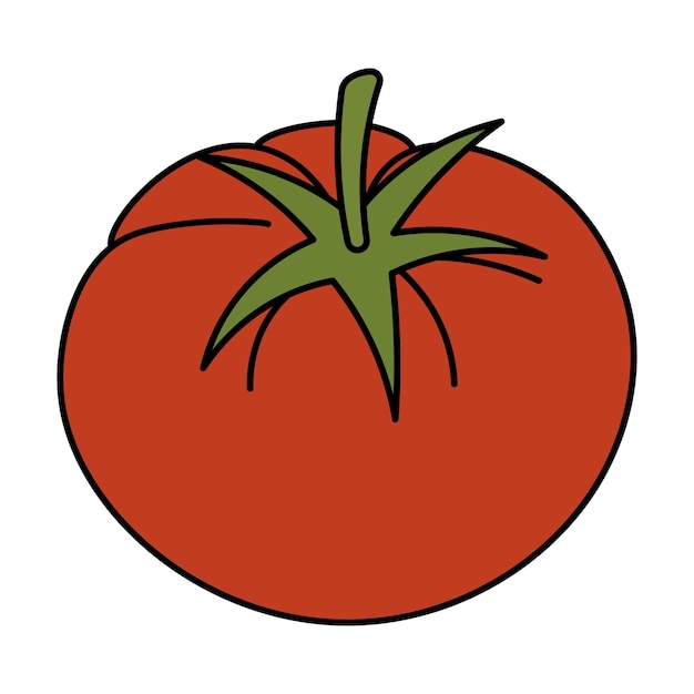 Vecteur tomate légume rouge utile avec des boutures en style cartoon récolte produit biologique de saison