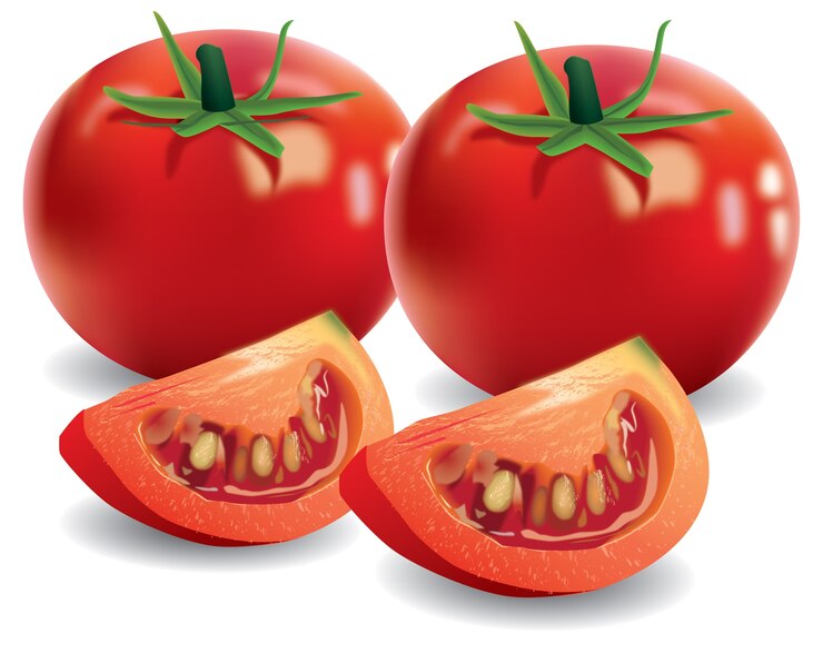 Vecteur tomate réaliste