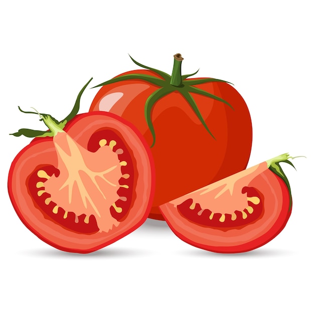 Vecteur tomate rouge et demi-tomates et tranche avec des feuilles vertes style vectoriel plat