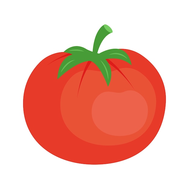 Tomate vecteur légume icône biologique isolée