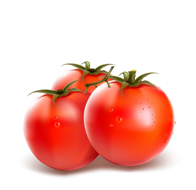 Vecteur tomate vecteur réaliste