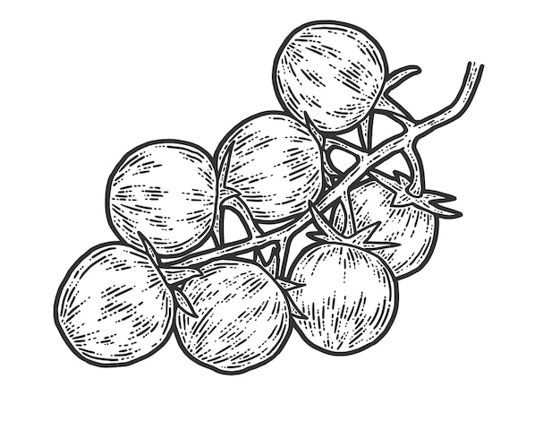 Tomates Cerises Croquis Planche à Gratter Imitation Noir Et Blanc