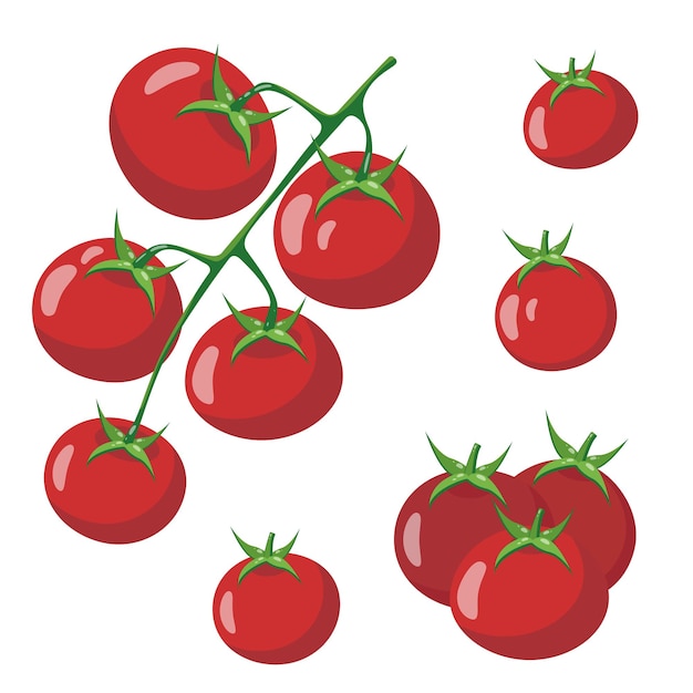 Vecteur tomates cerises