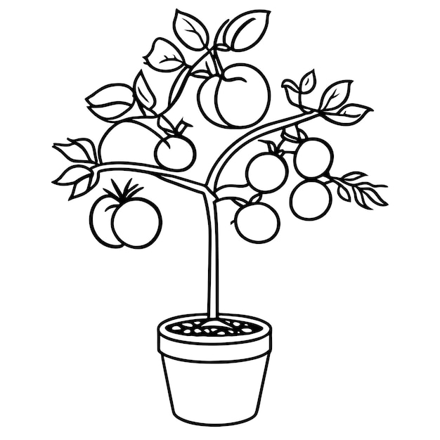 Des Tomates Colorées Poussent Dans Une Ferme Intérieure. Illustration Vectorielle De L'arbre