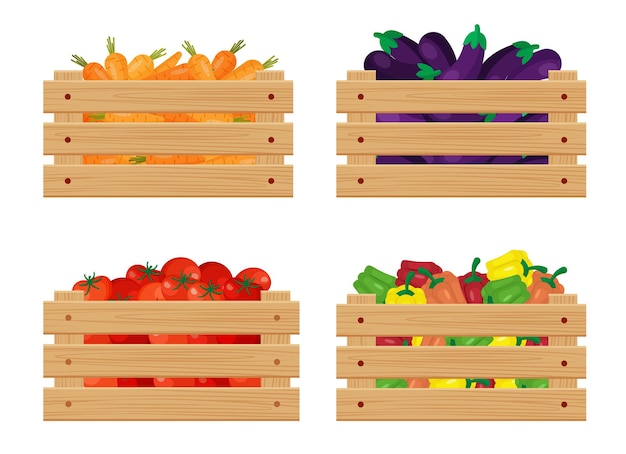 Vecteur tomates dans une boîte en bois. récolte d'automne. isolé sur fond blanc. eps 10