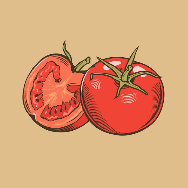 Tomates Dans Un Style Vintage. Illustration Vectorielle Colorée