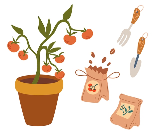 Tomates Et Graines Semis Paquets De Graines Sac Organique D'engrais Culture De Légumes Concept D'une Alimentation Saine Jardinage De Printemps Agriculture Illustration Vectorielle De Dessin Animé