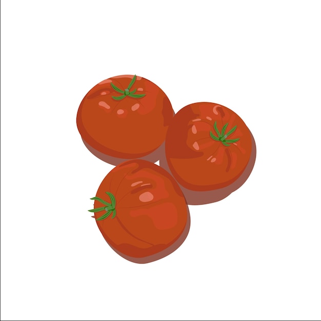 Vecteur tomates mûres