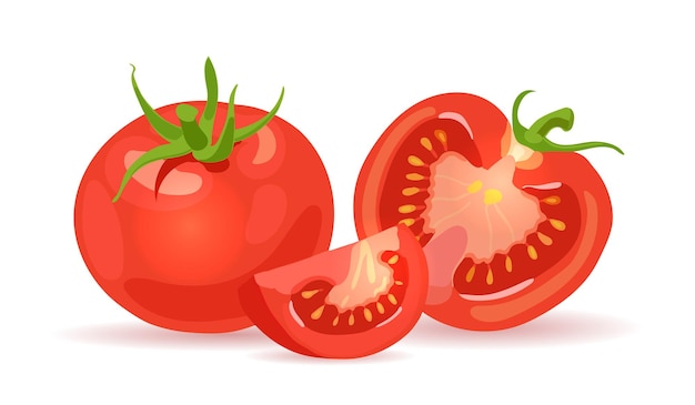 Vecteur tomates rouges fraîches légumes une demi-tomate une tranche et une tomate entière