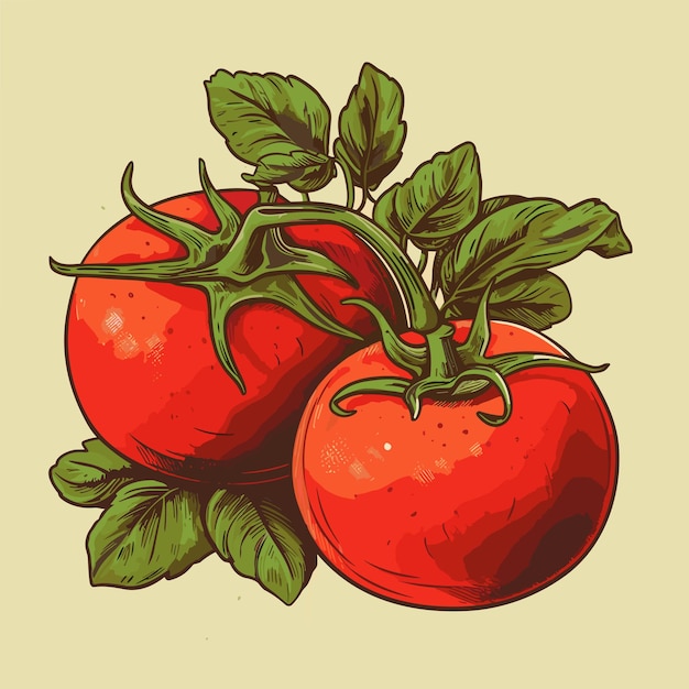 Vecteur tomates rouges mûres avec feuilles illustration vectorielle