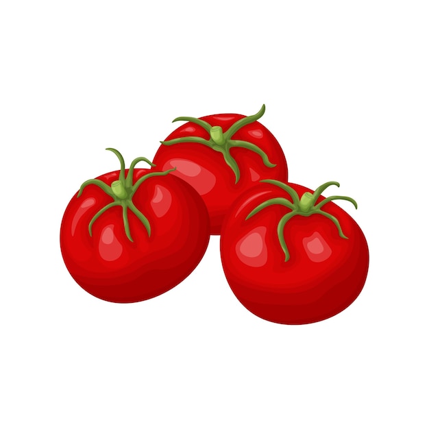 Tomates Tomates mûres rouges Image de légumes mûrs Trois tomates en style cartoon Illustration vectorielle isolée sur fond blanc