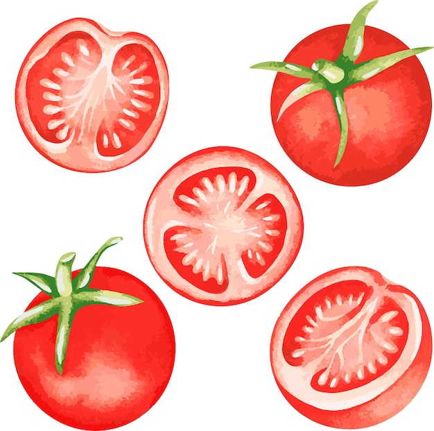 Tomates