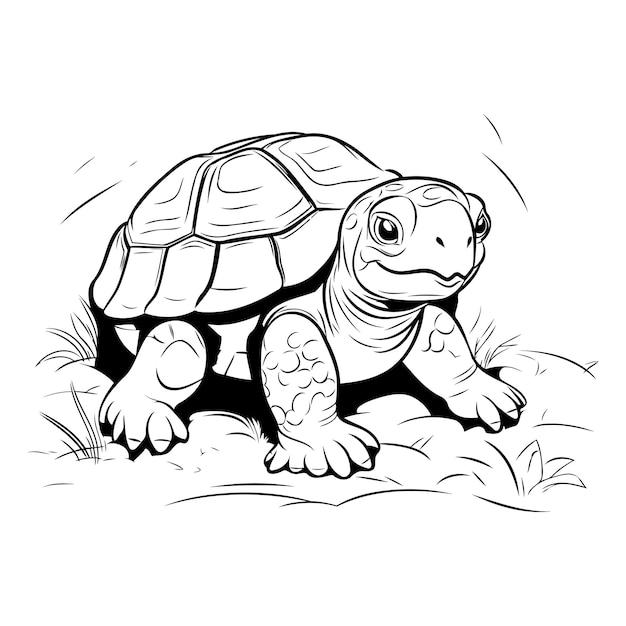 Vecteur la tortue sur le pré illustration vectorielle en noir et blanc