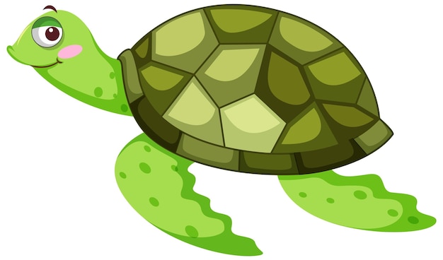 Tortue Verte En Personnage De Dessin Animé