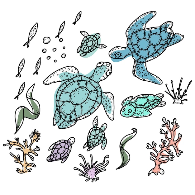 Vecteur tortues de mer illustration de doodle dessinés à la main vie de la marina