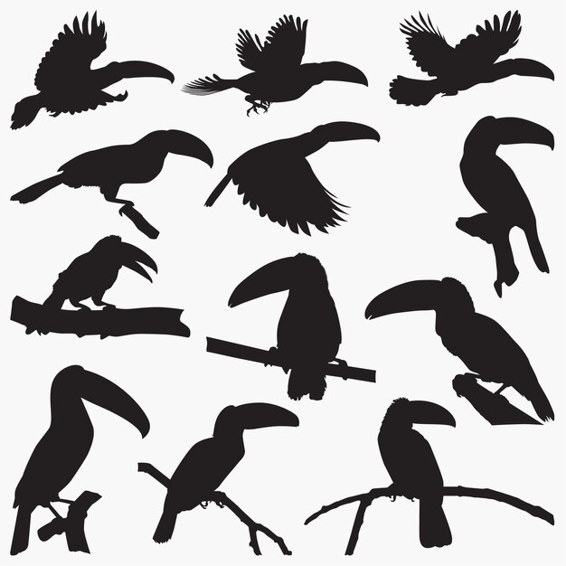 Toucan Silhouettes