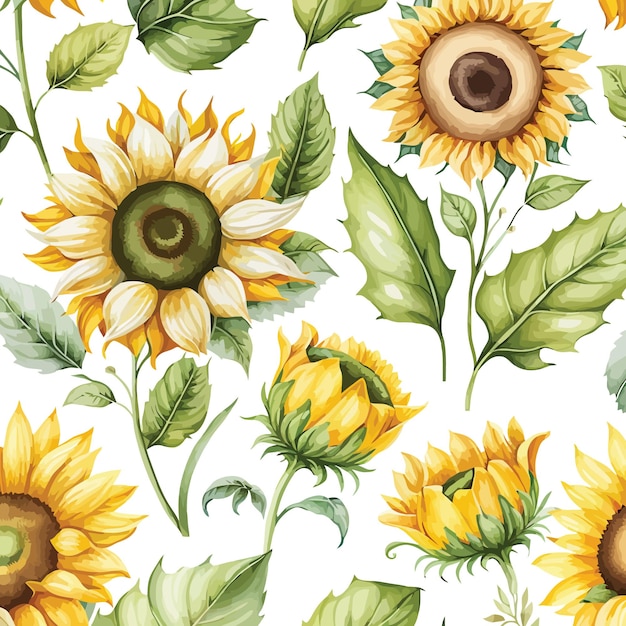 tournesol aquarelle transparente motif motif de fleurs