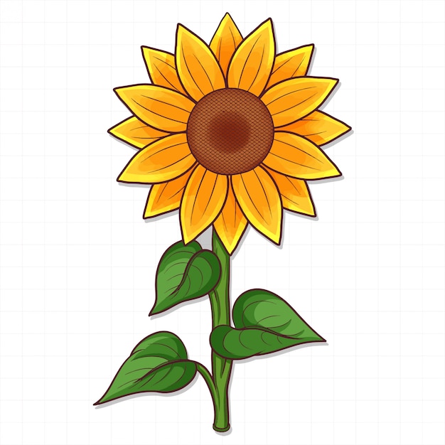 Tournesol Dessiné à La Main