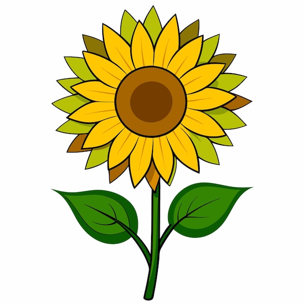 un tournesol jaune avec une tige verte et des feuilles