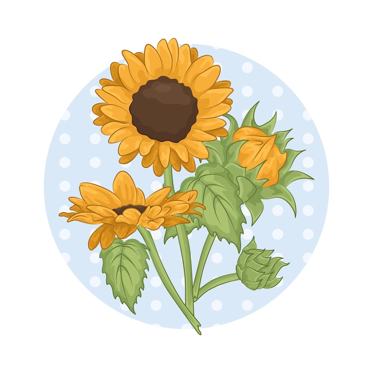 Vecteur le tournesol