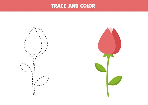 Trace Et Couleur Fleur Rose Saint-valentin