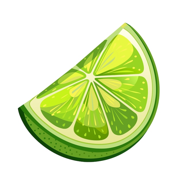 tranche de citron vert illustration citron isolé moitié fruit citron