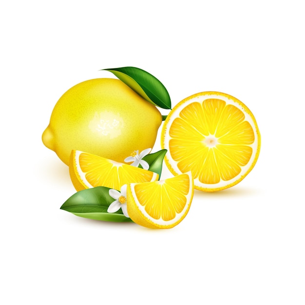 Vecteur tranche entière de demi-quart de citron d'agrumes avec des feuilles et une composition réaliste de fleurs sur une illustration blanche