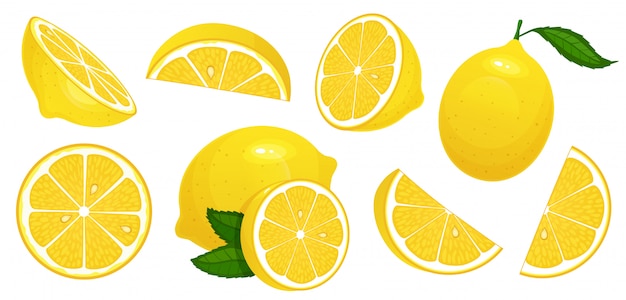 Vecteur tranches de citrons. agrumes frais, demi-citrons tranchés et citron isolé jeu d'illustration de dessin animé isolé