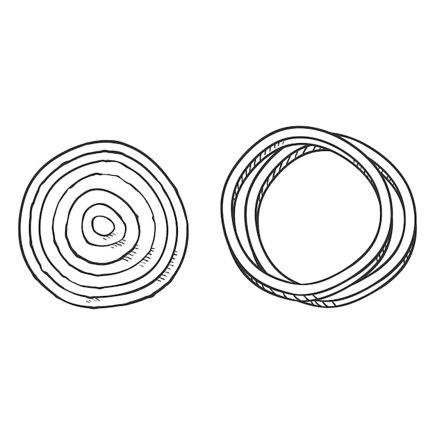 Tranches rondes d'oignon de croquis de vecteur