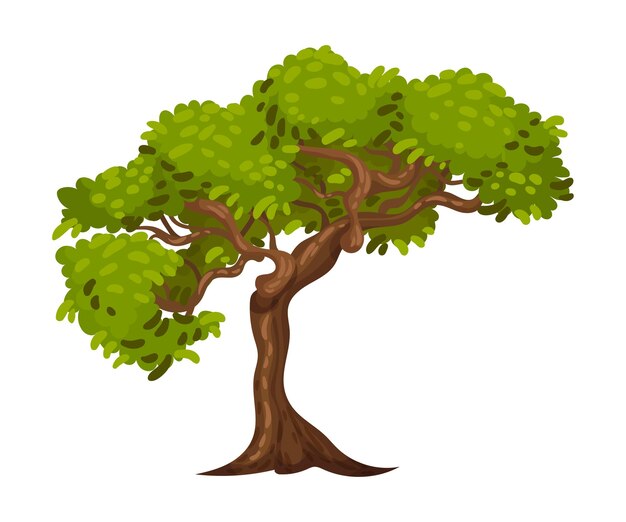 Vecteur tree with exuberant green foliage and trunk vector illustration