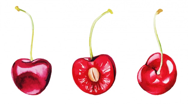 Trois cerises rouges, l'ensemble de baies aquarelles,