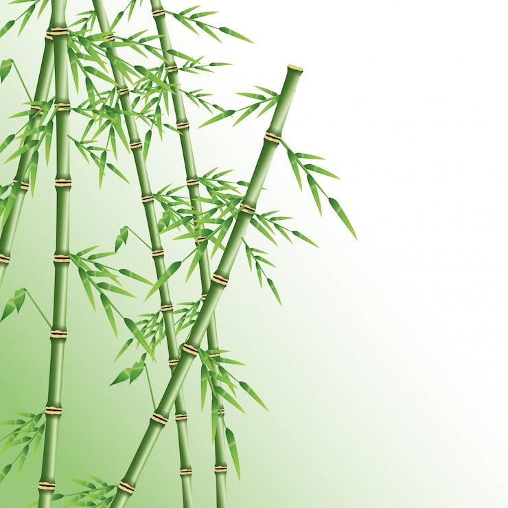 Vecteur tronc de bambou avec l&#39;icône de feuilles. décoration de plantes de la nature