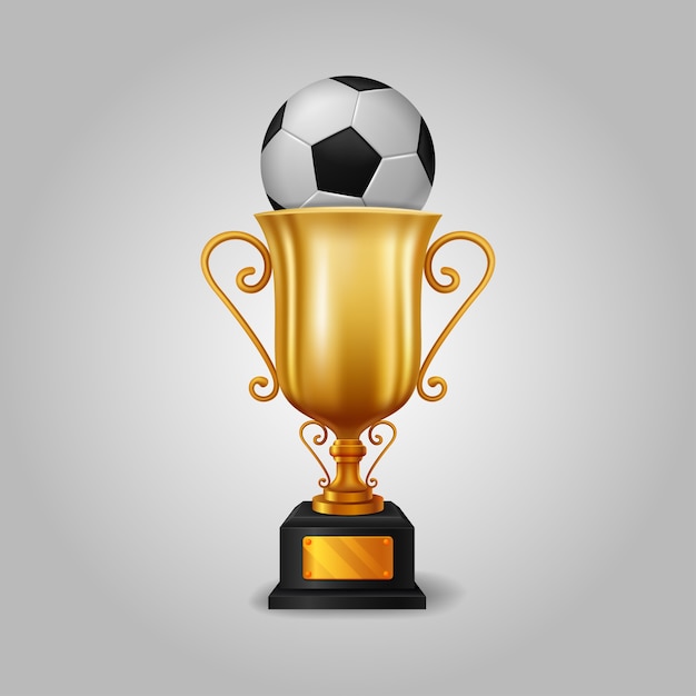 Trophée Ballon De Football