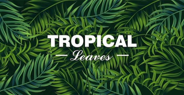 Tropic laisse la carte
