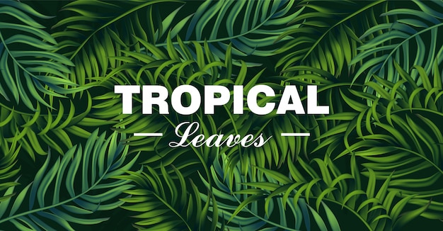 Tropic Laisse La Carte