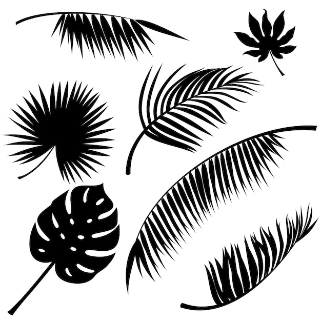 Tropical Feuilles Vector Silhouettes Noires Sur Blanc