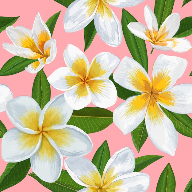 Tropical Seamless Pattern Avec Des Fleurs De Plumeria