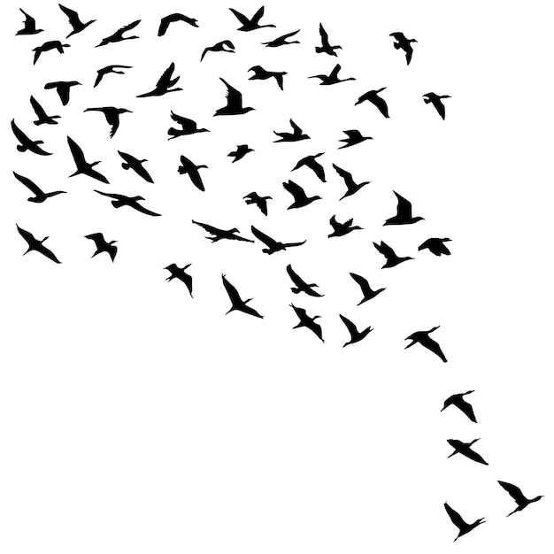 Un Troupeau D'oiseaux Volants Illustration Vectorielle