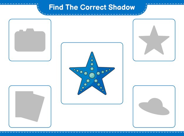 Trouvez La Bonne Ombre. Trouvez Et Faites Correspondre L'ombre Correcte De L'étoile De Mer. Jeu éducatif Pour Enfants, Feuille De Calcul Imprimable, Illustration Vectorielle
