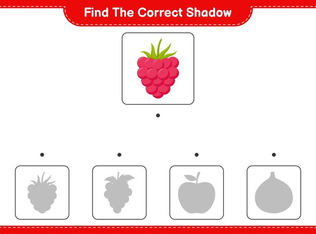 Trouvez la bonne ombre. Trouvez et faites correspondre l'ombre correcte de framboises. Jeu éducatif pour enfants, feuille de travail imprimable