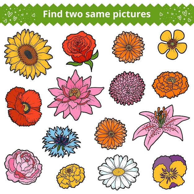 Trouvez deux les mêmes images, jeu éducatif pour les enfants. Ensemble de couleurs de fleurs