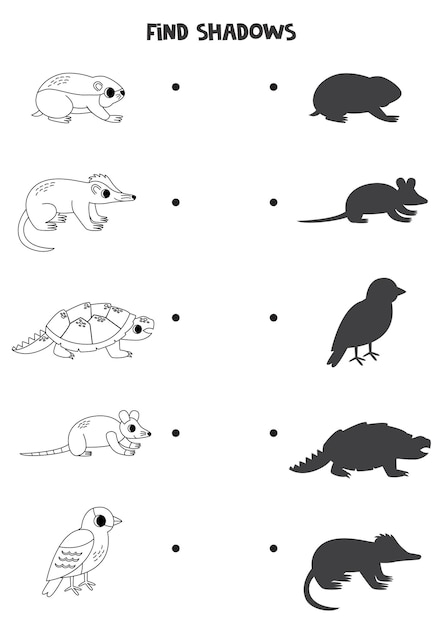 Trouvez Les Ombres Correctes Des Animaux Noirs Et Blancs D'amérique Du Nord Puzzle Logique Pour Enfants