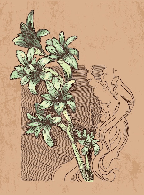 Vecteur tubéreuse fleur vintage dessin illustration vecteur