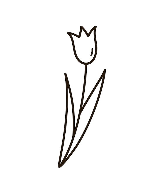 Tulipe Doodle Mignon Avec Des Feuilles Isolées Sur Fond Blanc Clipart Botanique