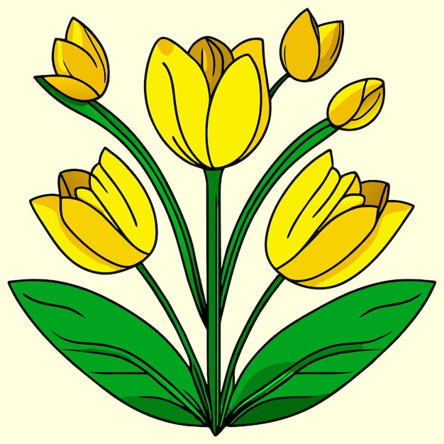 Les Tulipes Jaunes Fleurissent Avec Des Feuilles Vertes