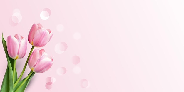 Des tulipes roses sur un fond rose