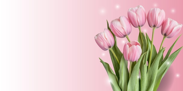 Des tulipes roses sur un fond rose