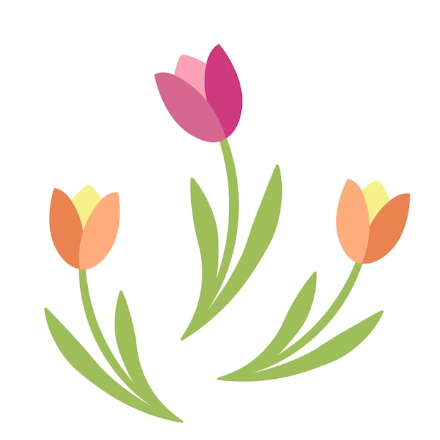 Tulipes vectorielles dessinées à la main 8 mars salutation illustration