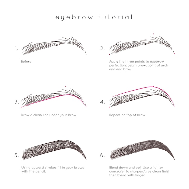 Vecteur tutoriel des sourcils. comment faire de beaux sourcils