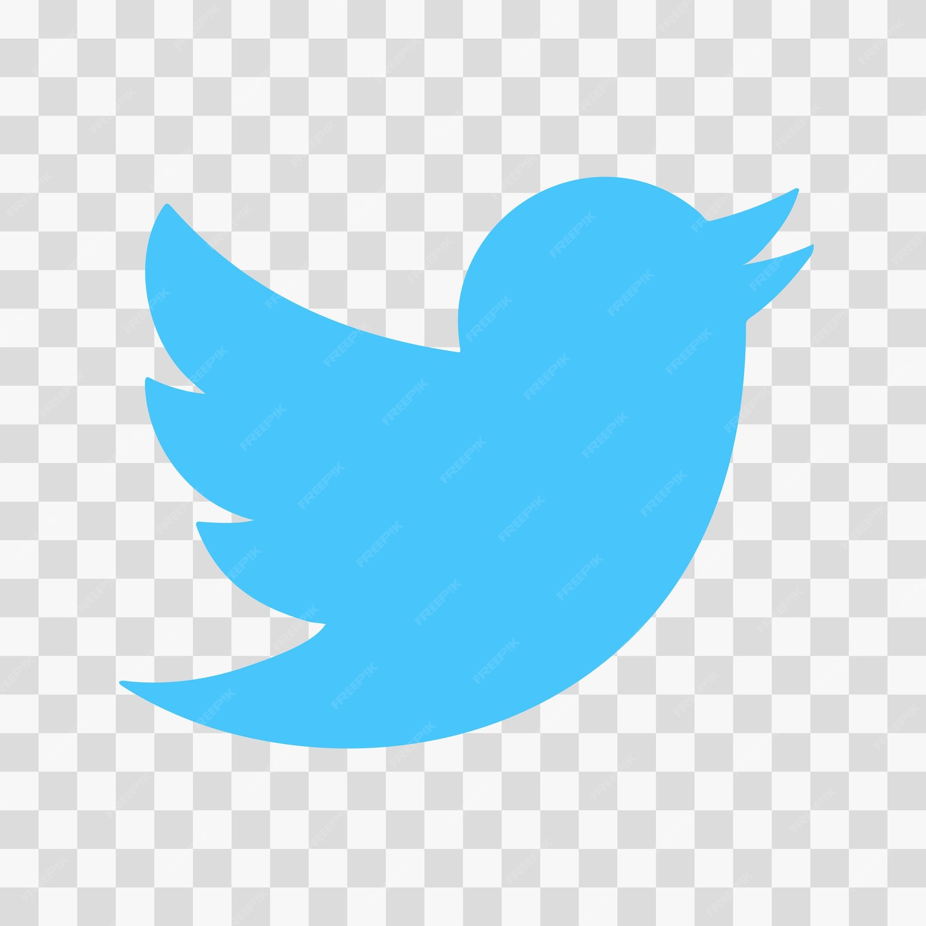 X (Twitter)